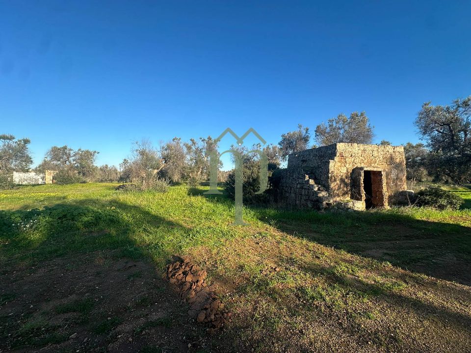 Helårsgrund i Carovigno, Brindisi - foto 1